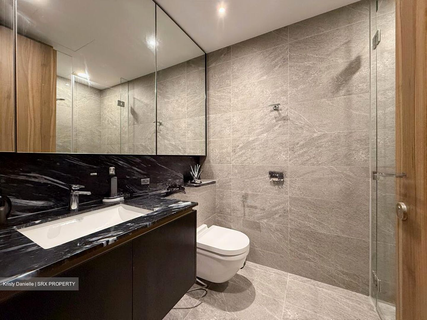 Daintree Residence (D21), Condominium #520666821